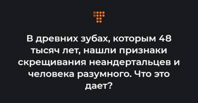 В древних зубах, которым 48 тысяч лет, нашли признаки скрещивания неандертальцев и человека разумного. Что это дает? - hromadske.ua - Украина - Джерси