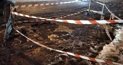 В "Водоканале" прокомментировали провал дороги на проспекте Мира - klops.ru - Калининград