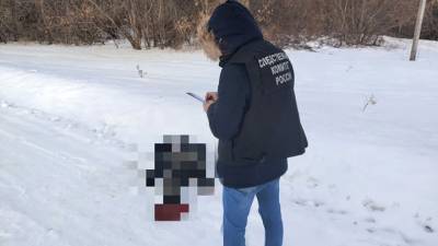 Лежал на обочине. Тело замерзшего мужчины было найдено в Саратовской области - vesti.ru - Саратовская обл. - район Аткарский