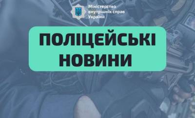 На Одесчине полицейские расследуют избиение собаки и мужчины - lenta.ua