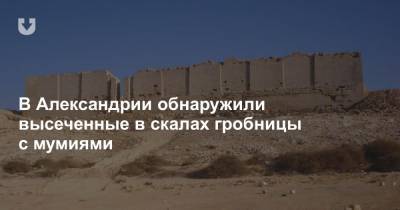В Александрии обнаружили высеченные в скалах гробницы с мумиями - news.tut.by - Египет - г. Александрия - Доминиканская Республика