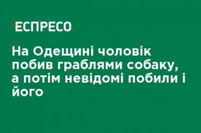 В Одесской области мужчина избил граблями собаку, а затем неизвестные избили и его - ru.espreso.tv - Одесская обл. - район Беляевский