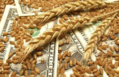 На экспорт ушло 13 млн т украинской пшеницы - agroportal.ua