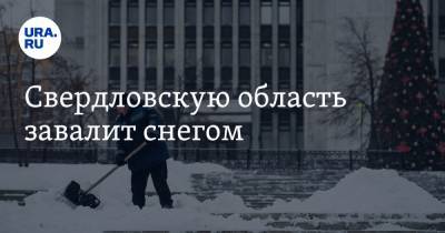 Светлана Кузнецова - Алексей Орлов - Алексей Бубнов - Свердловскую область завалит снегом - ura.news - Екатеринбург - Свердловская обл.