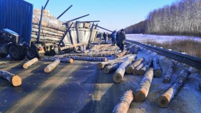 «Пункт назначения» по-мордовски: на трассе М-5 грузовик рассыпал бревна - riafan.ru - Саранск - Краснослободск - республика Мордовия