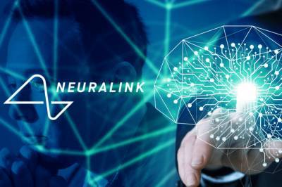 Играет в видеоигры силой разума: обезьяна стала первым существом с чипом Neuralink в мозгу - newsone.ua