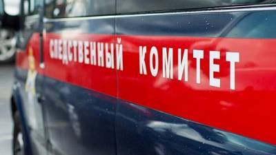 Мужчина пытался зарубить топором ребенка сожительницы в Тверской области - vesti.ru - Тверь - Тверская обл. - район Зубцовский