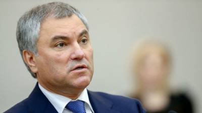 Вячеслав Володин - В России могут ввести уголовное наказание за призывы к санкциям - riafan.ru - Москва