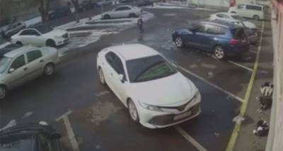 Собаки нападают на девочку – видео нашумевшего инцидента в Ереване - ru.armeniasputnik.am - Ереван