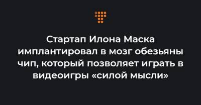Илон Маск - Стартап Илона Маска имплантировал в мозг обезьяны чип, который позволяет играть в видеоигры «силой мысли» - hromadske.ua - Сан-Франциско