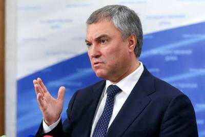 Вячеслав Володин - За призывы к введению санкций против граждан РФ могут ввести уголовное наказание - argumenti.ru - Россия - Япония