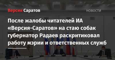 Валерий Радаев - После жалобы читателей ИА «Версия-Саратов» на стаю собак губернатор Радаев раскритиковал работу мэрии и ответственных служб - nversia.ru