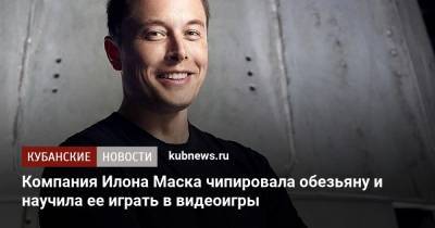 Илон Маск - Илон Маск - Компания Илона Маска чипировала обезьяну и научила ее играть в видеоигры - kubnews.ru - США