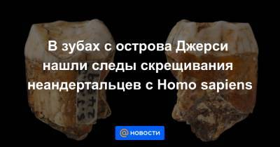 В зубах с острова Джерси нашли следы скрещивания неандертальцев с Homo sapiens - news.mail.ru - Джерси