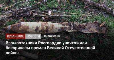 Взрывотехники Росгвардии уничтожили боеприпасы времен Великой Отечественной войны - kubnews.ru - Краснодарский край - Краснодар - Славянск - район Крымский