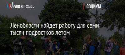 Ленобласти найдет работу для семи тысяч подростков летом - ivbg.ru - Ленинградская обл.
