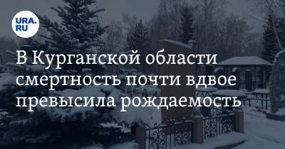В Курганской области смертность почти вдвое превысила рождаемость - ura.news - Курганская обл.