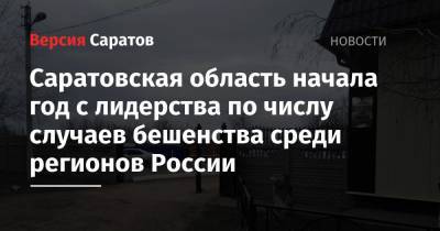 Валерий Радаев - Саратовская область начала год с лидерства по числу случаев бешенства среди регионов России - nversia.ru - Московская обл. - Челябинская обл. - Нижегородская обл. - Саратовская обл. - Тюменская обл. - Амурская обл. - Волгоградская обл. - Оренбургская обл. - Самарская обл. - респ. Хакасия - Пензенская обл.