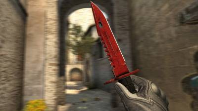 8 лет за выманивания скина с CS:GO: полиция Чехии расследует уникальный случай кражи - 24tv.ua - Чехия