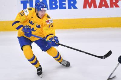 Ларс Юханссон - 6 игроков из клубов КХЛ попали в состав сборной Швеции на домашний этап Евротура - sport.ru - Швеция - Финляндия