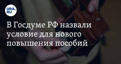 В Госдуме РФ назвали условие для нового повышения пособий - ura.news