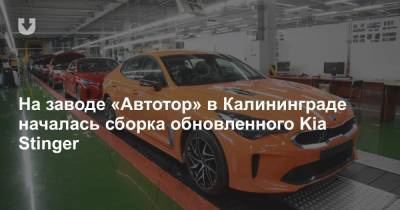 На заводе «Автотор» в Калининграде началась сборка обновленного Kia Stinger - news.tut.by - Калининград