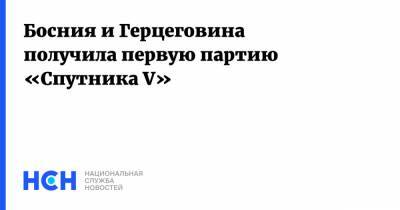 Босния и Герцеговина получила первую партию «Спутника V» - nsn.fm - Москва - Сербия - Босния и Герцеговина - Сараево