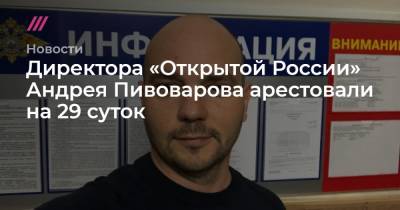 Илья Яшин - Андрей Пивоваров - Директора «Открытой России» Андрея Пивоварова арестовали на 29 суток - tvrain.ru - Москва