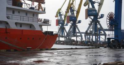 Мариупольский порт в январе нарастил перевалку металлов на 8,7% - gmk.center - Мариуполь