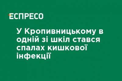 В Кропивницком в одной из школ произошла вспышка кишечной инфекции - ru.espreso.tv - Кировоградская обл.