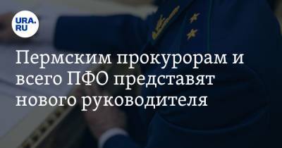 Пермским прокурорам и всего ПФО представят нового руководителя - ura.news - окр.Приволжский - округ Сибирский