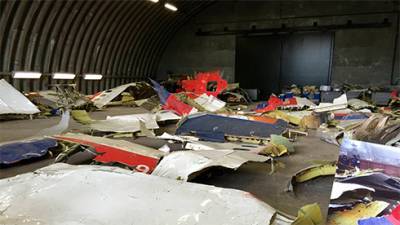 Олег Пулатов - Суд по MH17: адвокаты обвиняемого хотят осмотреть все обломки самолета - bin.ua - Голландия