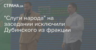 Владимир Зеленский - Александр Дубинский - Андрей Деркач - "Слуги народа" на заседании исключили Дубинского из фракции - strana.ua - США