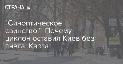 Наталья Диденко - "Синоптическое свинство!". Почему циклон оставил Киев без снега. Карта - strana.ua - Киев - Львов - Одесса - Харьков