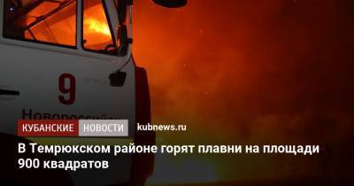 В Темрюкском районе горят плавни на площади 900 квадратов - kubnews.ru - Сочи - населенный пункт Угрозы