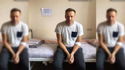 Алексей Навальный - Христо Грозев - Навальный угодил в полную зависимость от болгарина Грозева - politnavigator.net - Россия - Сербия - Черногория