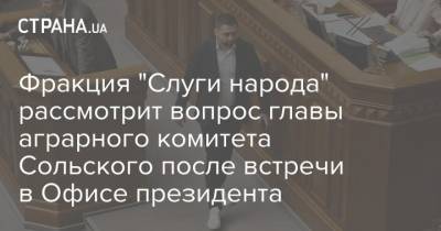 Давид Арахамия - Николай Сольский - Фракция "Слуги народа" рассмотрит вопрос главы аграрного комитета Сольского после встречи в Офисе президента - strana.ua