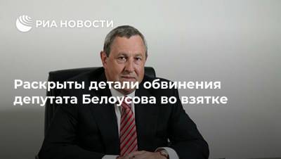Вадим Белоусов - Раскрыты детали обвинения депутата Белоусова во взятке - ria.ru - Москва - Челябинск