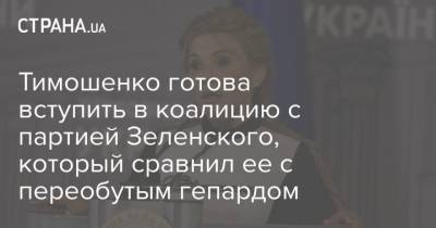 Давид Арахамия - Юлия Тимошенко - Тимошенко готова вступить в коалицию с партией Зеленского, который сравнил ее с переобутым гепардом - strana.ua