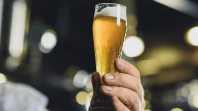 Павел Шапкин - К чему приведет введение минимальной цены на пиво? - 5-tv.ru