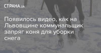 Появилось видео, как на Львовщине коммунальщик запряг коня для уборки снега - strana.ua
