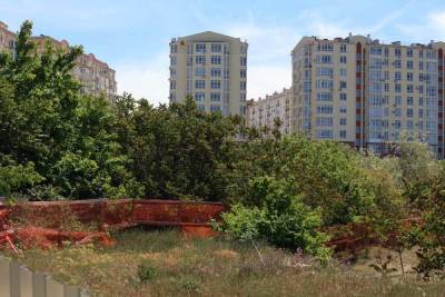 В Севастополе спасли от вырубки остатки рощи фисташек: Почему это... - politnavigator.net - Россия - Севастополь - Крым - Строительство