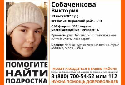 В Кировском районе Ленобласти пропала 13-летняя девочка - online47.ru - Ленинградская обл. - р-н Кировский