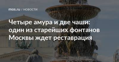 Четыре амура и две чаши: один из старейших фонтанов Москвы ждет реставрация - mos.ru - Москва
