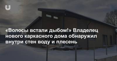 «Волосы встали дыбом!» Владелец нового каркасного дома обнаружил внутри стен воду и плесень - news.tut.by - Строительство