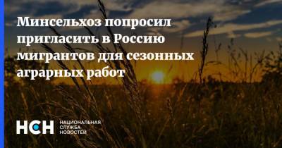 Джамбулат Хатуов - Виктория Абрамченко - Минсельхоз попросил пригласить в Россию мигрантов для сезонных аграрных работ - nsn.fm