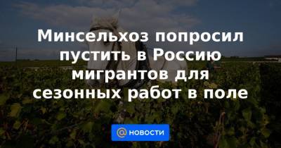 Джамбулат Хатуов - Минсельхоз попросил пустить в Россию мигрантов для сезонных работ в поле - news.mail.ru