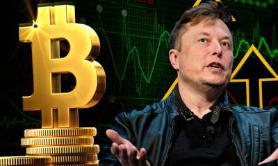 Биткоин для «чайников»: рассказываем о криптовалюте максимально просто - gubdaily.ru