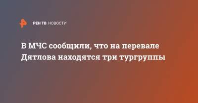 В МЧС сообщили, что на перевале Дятлова находятся три тургруппы - ren.tv - Свердловская обл.