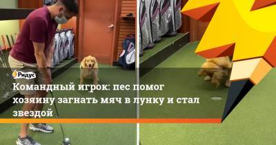 Командный игрок: пес помог хозяину загнать мяч в лунку и стал звездой - ridus.ru